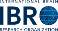 ibro_logo_main_rgb_500-300x162